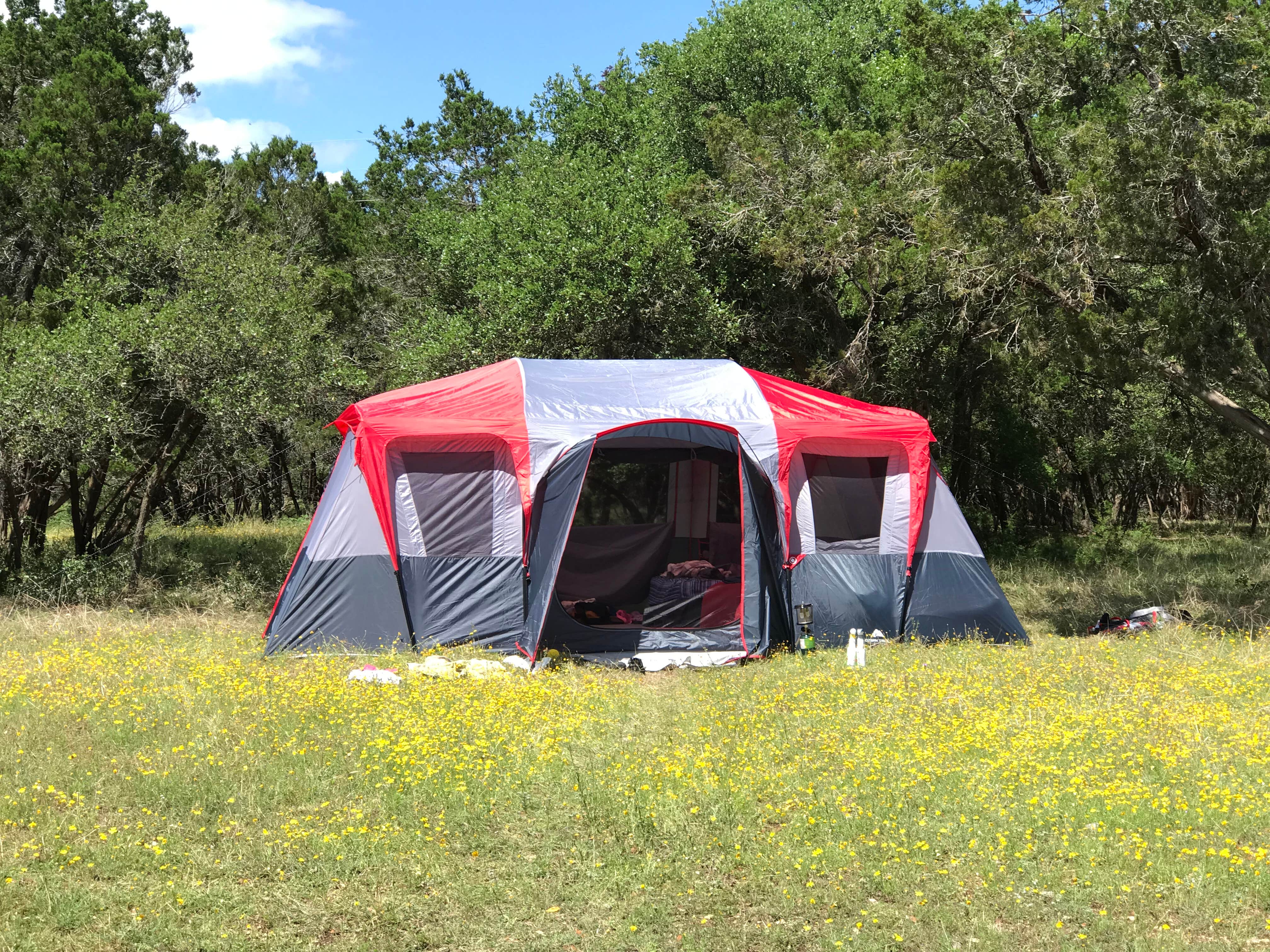 Camper submitted image from COE Canyon Lake Canyon Park - 5