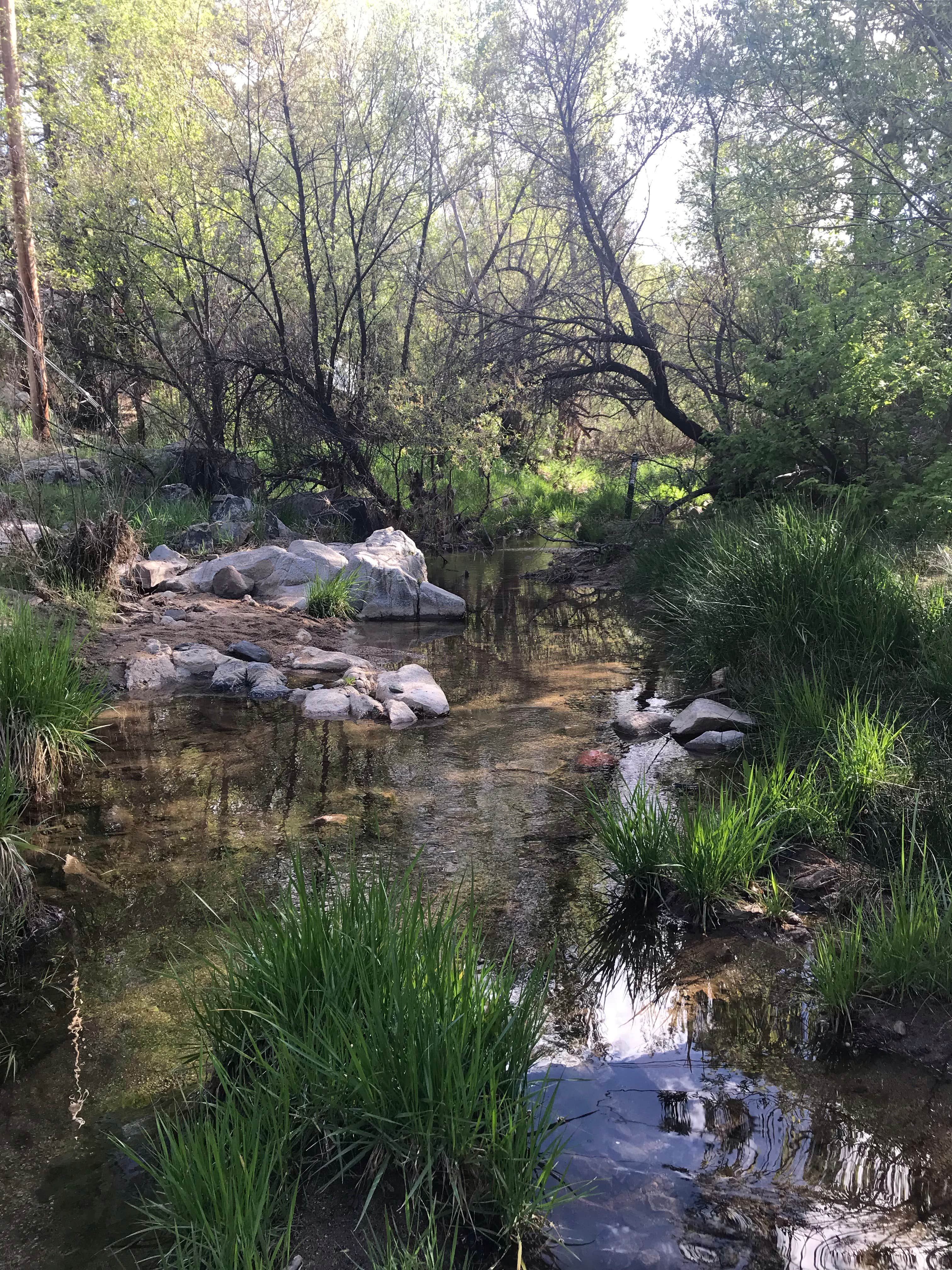 Camper-submitted photo at Apple Creek Cottages near Yarnell, AZ