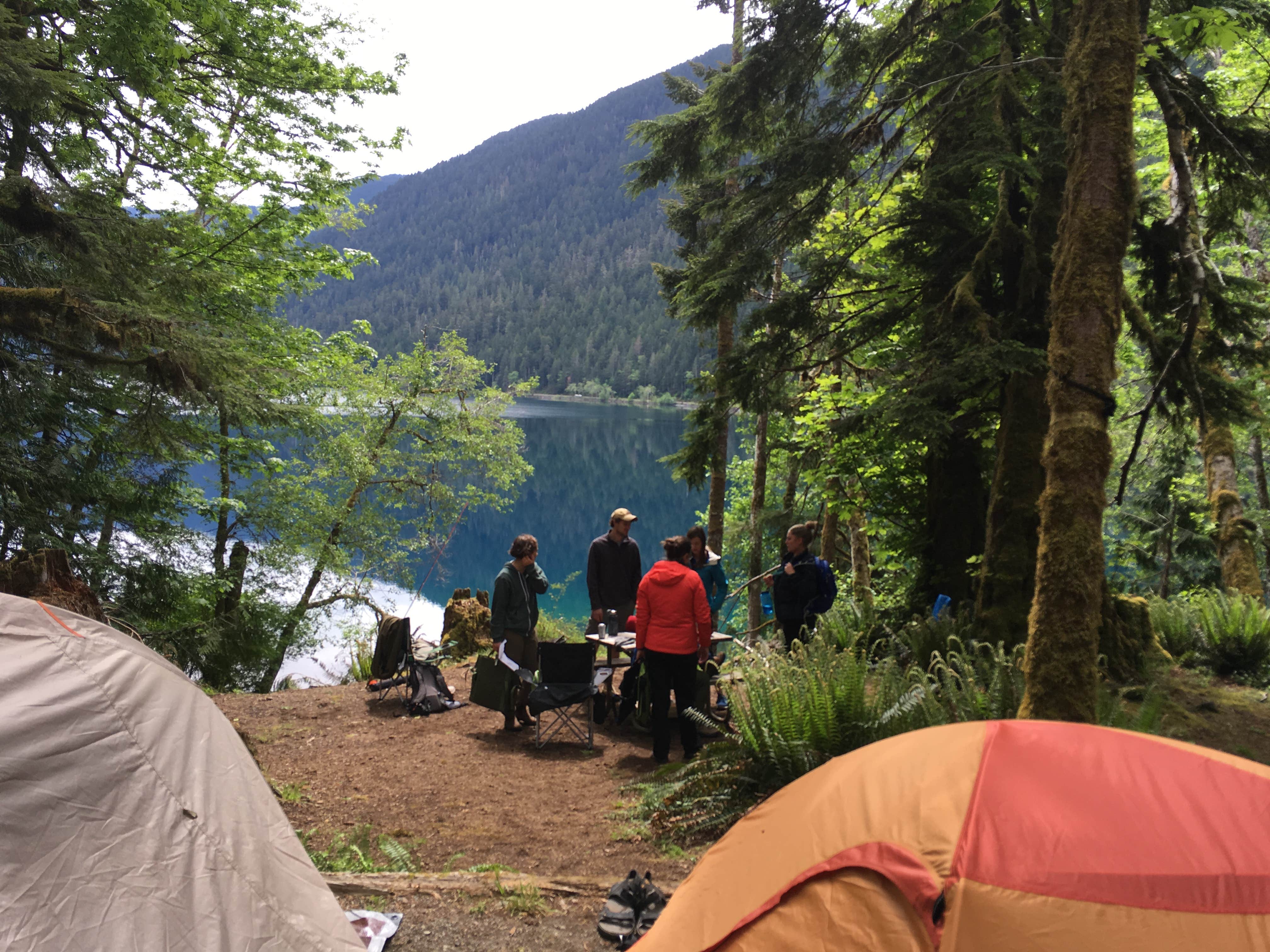 Beatriz S.'s photo at Fairholme Campground — Olympic National Park near Joyce, WA