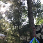 Review photo of Hill & Hollow Campground & RV Park by Jeff G., May 22, 2019
