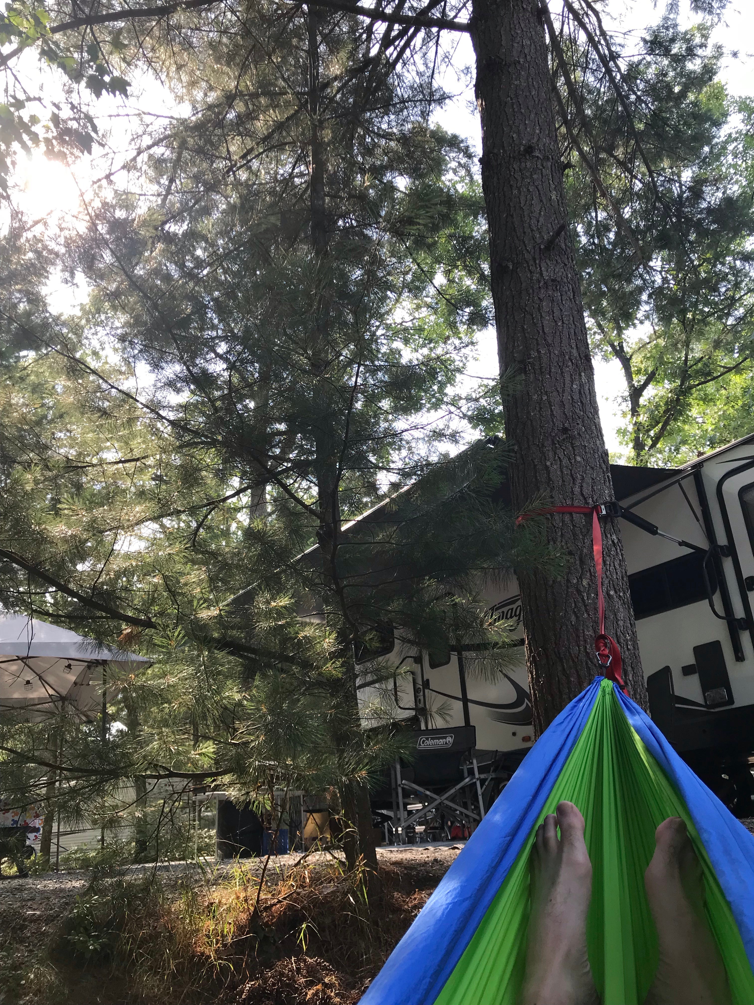 Camper submitted image from Hill & Hollow Campground & RV Park - 4