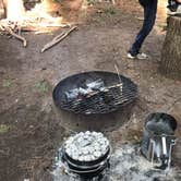 Review photo of Pinewoods Campground — Kettle Moraine State Forest-Southern Unit by Charles M., May 22, 2019