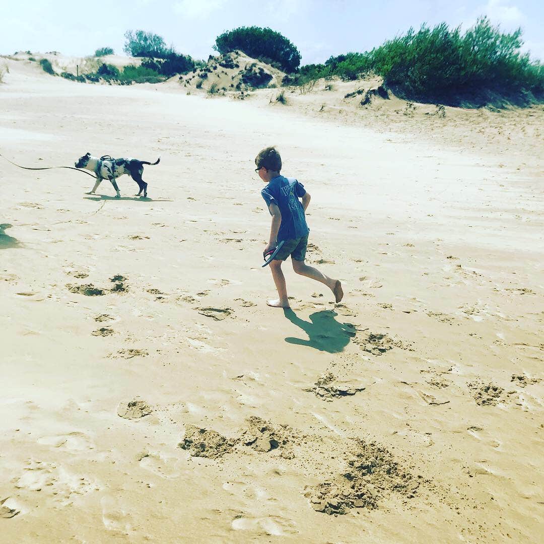 Wesley R.'s photo of camping with pets at Oregon Inlet Campground — Cape Hatteras National Seashore near Cape Hatteras National Seashore