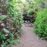 Review photo of Tillicum Beach Campground by Jill T., May 20, 2019
