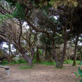 Review photo of Tillicum Beach Campground by Jill T., May 20, 2019