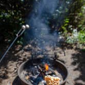 Review photo of Tillicum Beach Campground by Jill T., May 20, 2019