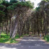 Review photo of Tillicum Beach Campground by Jill T., May 20, 2019