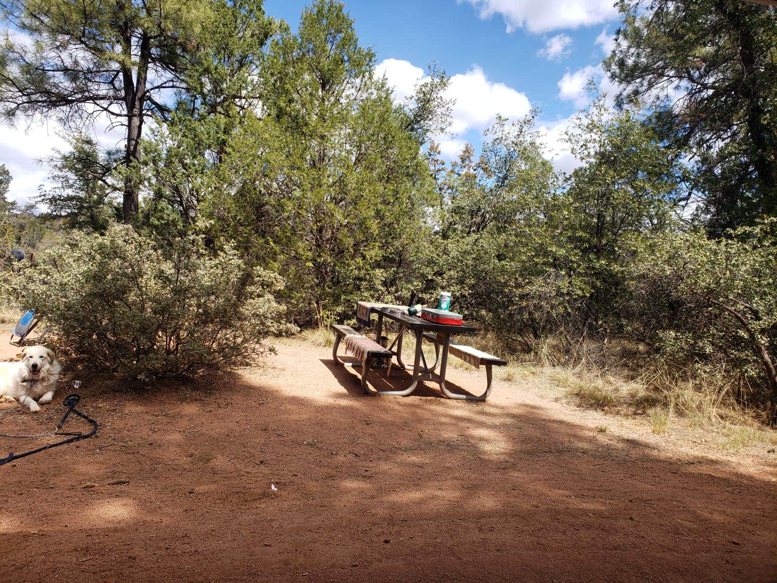 Ted B.'s photo of camping with pets at Houston Mesa Campground near Strawberry, AZ