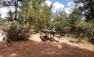 Ted B.'s photo of camping with pets at Houston Mesa Campground near Strawberry, AZ