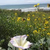 Review photo of Emma Wood State Beach by Paul  N., May 22, 2019