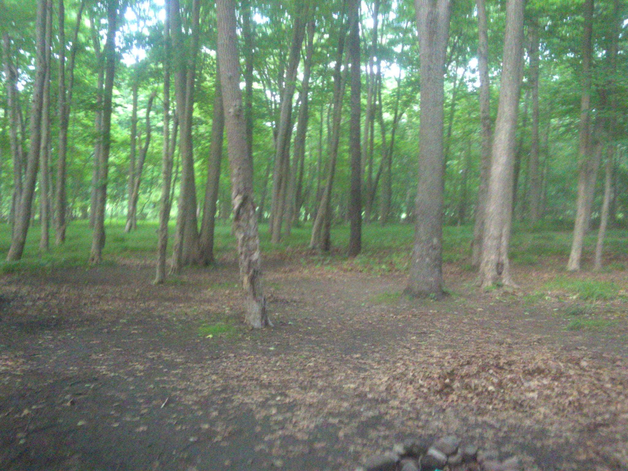 Camper-submitted photo at Namanock Island — Delaware Water Gap National Recreation Area near Barryville, NY