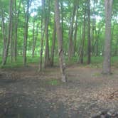 Review photo of Namanock Island — Delaware Water Gap National Recreation Area by John B., August 30, 2016