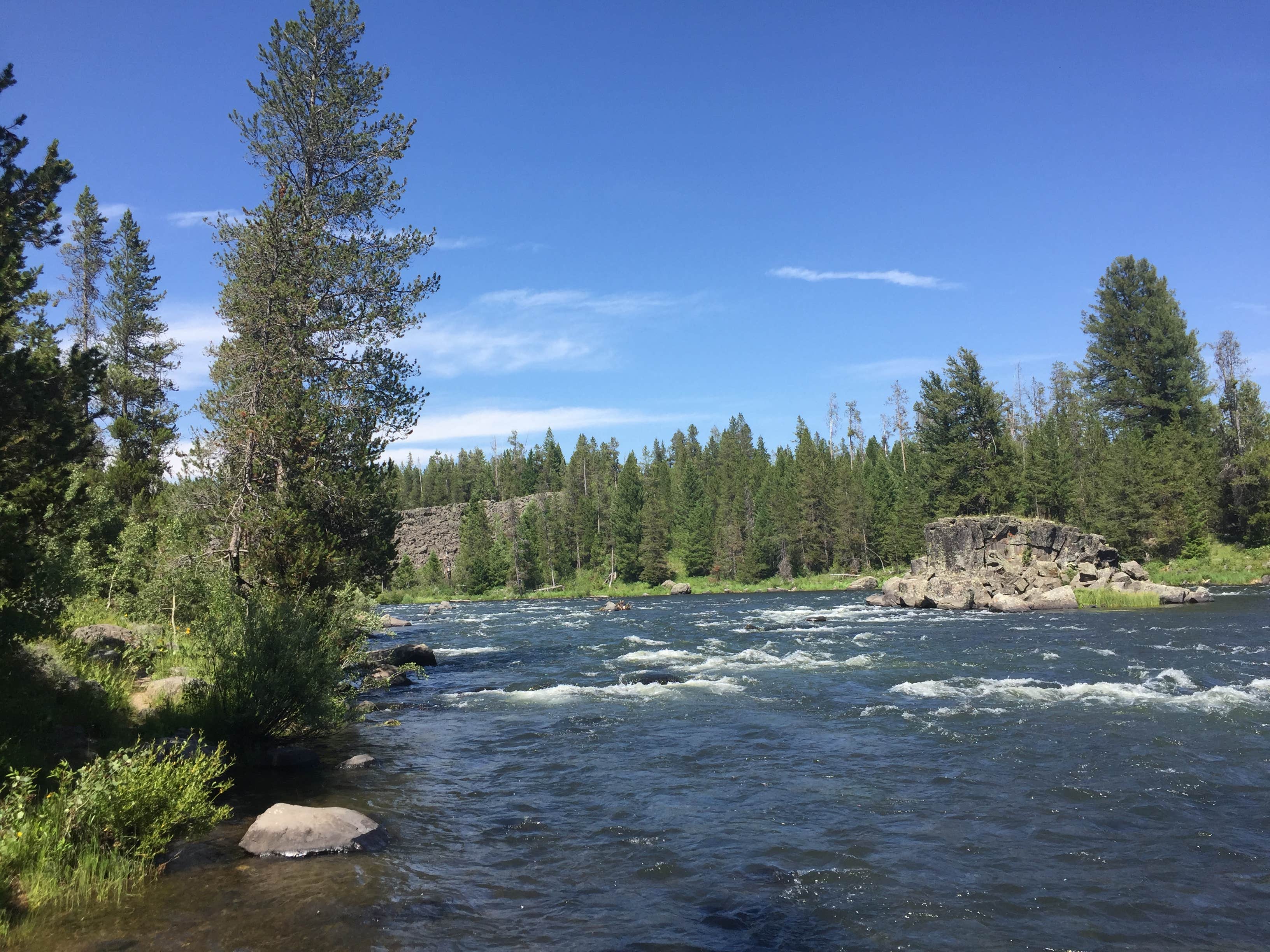 Nature