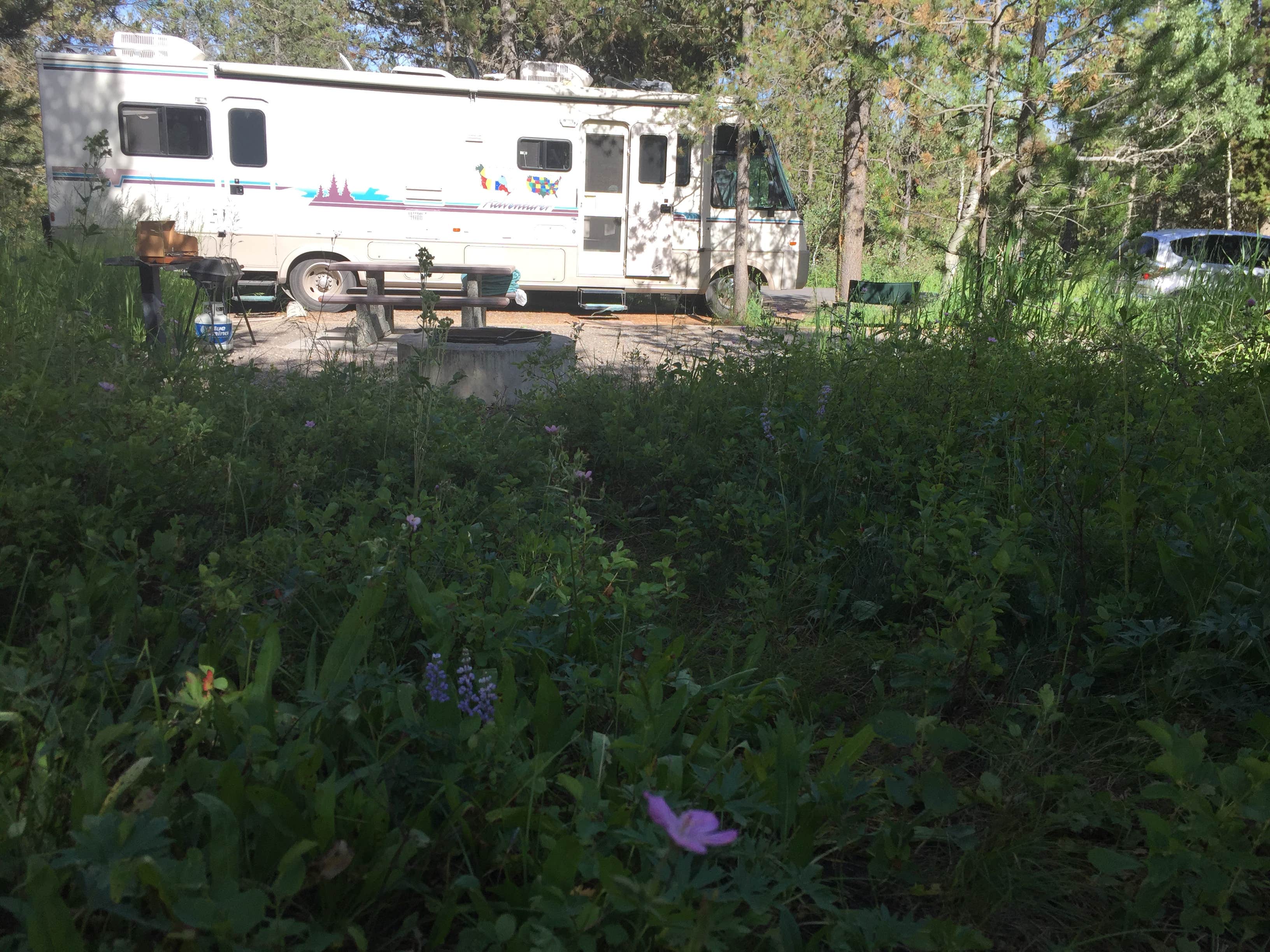 Campsites