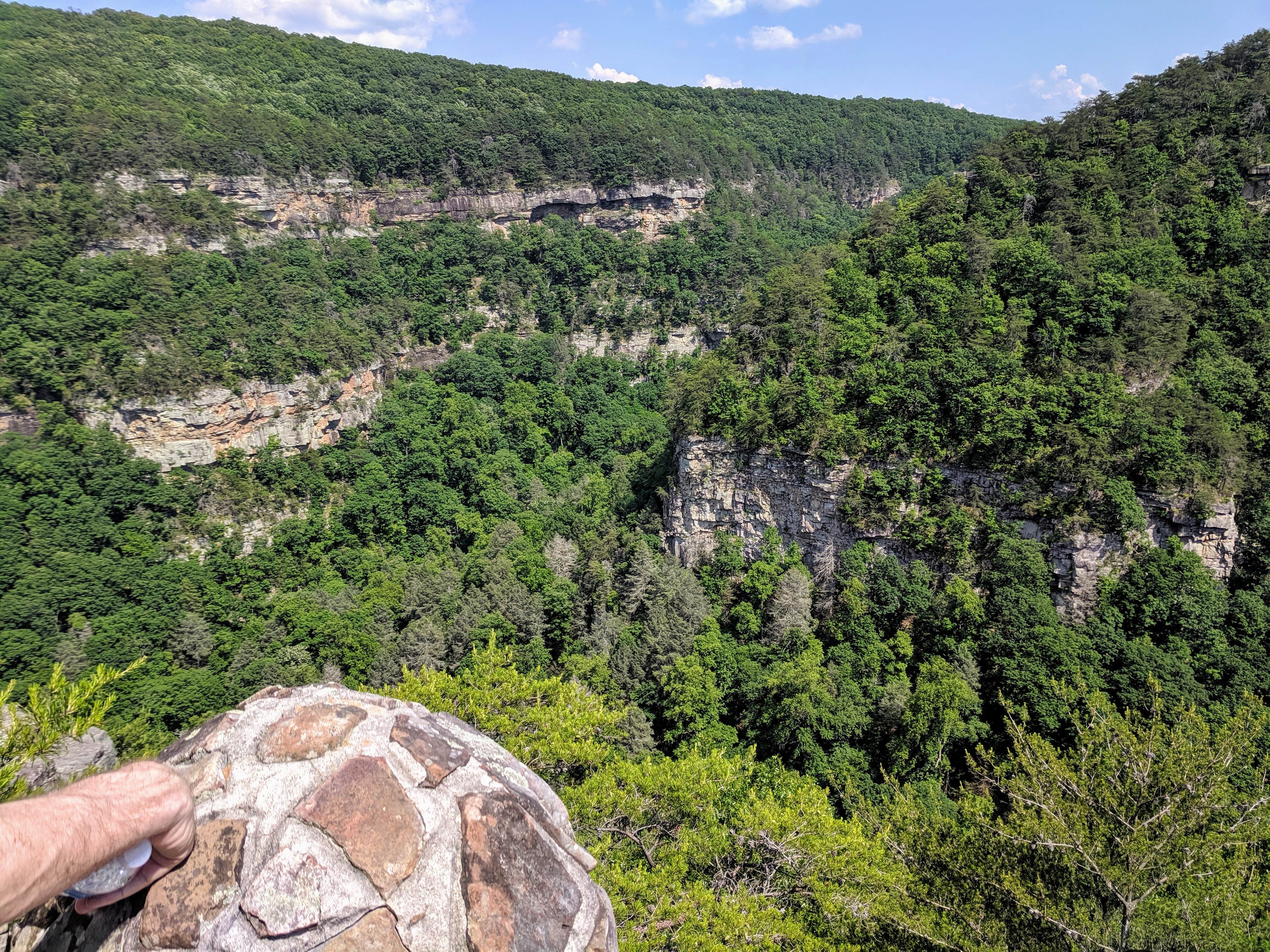 Camper submitted image from West Rim - Cloudland Canyon State Park - 4