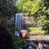 Review photo of Cloudland Canyon State Park Campground by Chris H., May 22, 2019