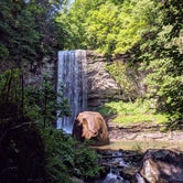 Review photo of West Rim - Cloudland Canyon State Park by Chris H., May 22, 2019