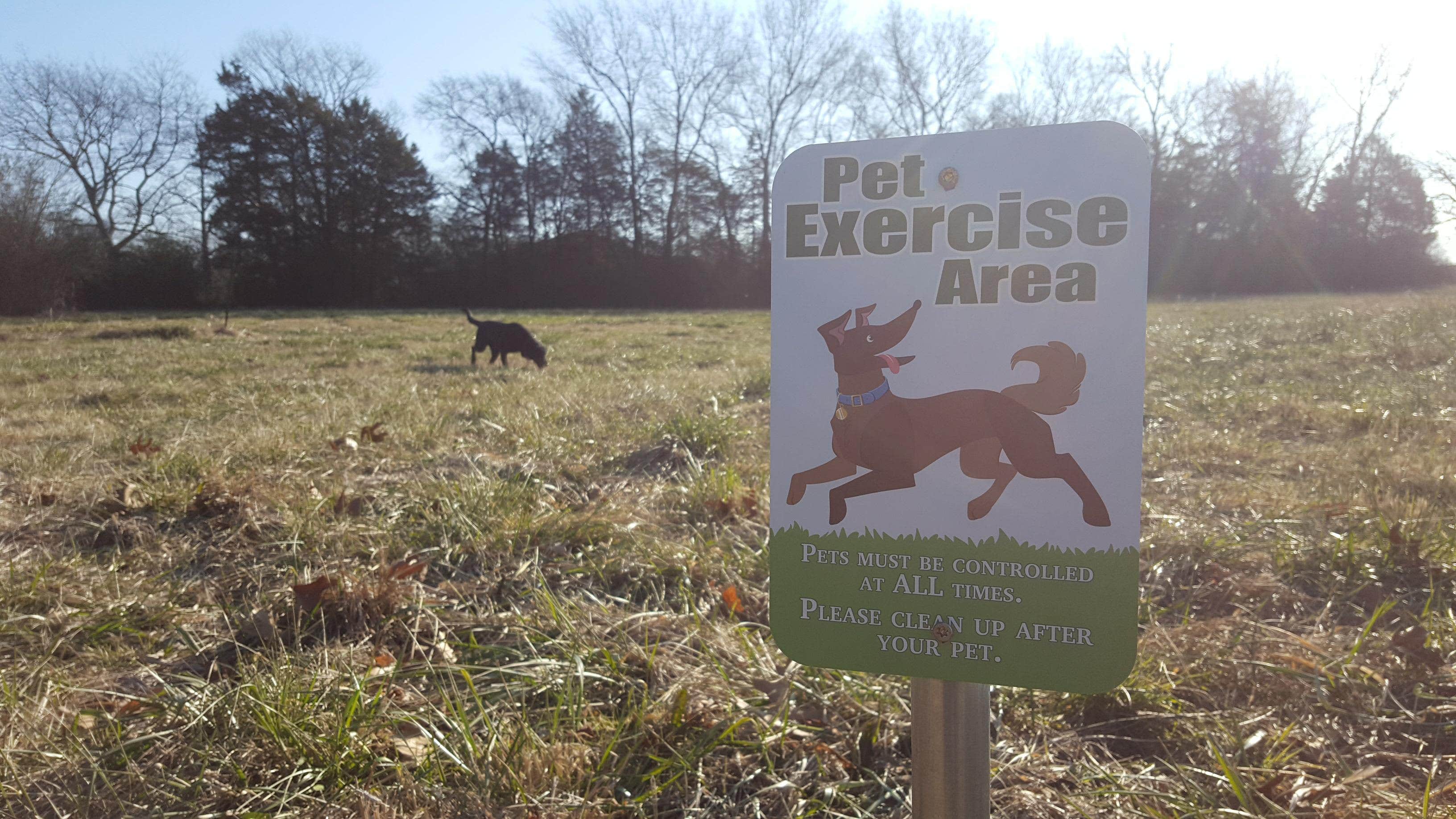 Camper-submitted photo at Speedway RV Park near Batesville, AR