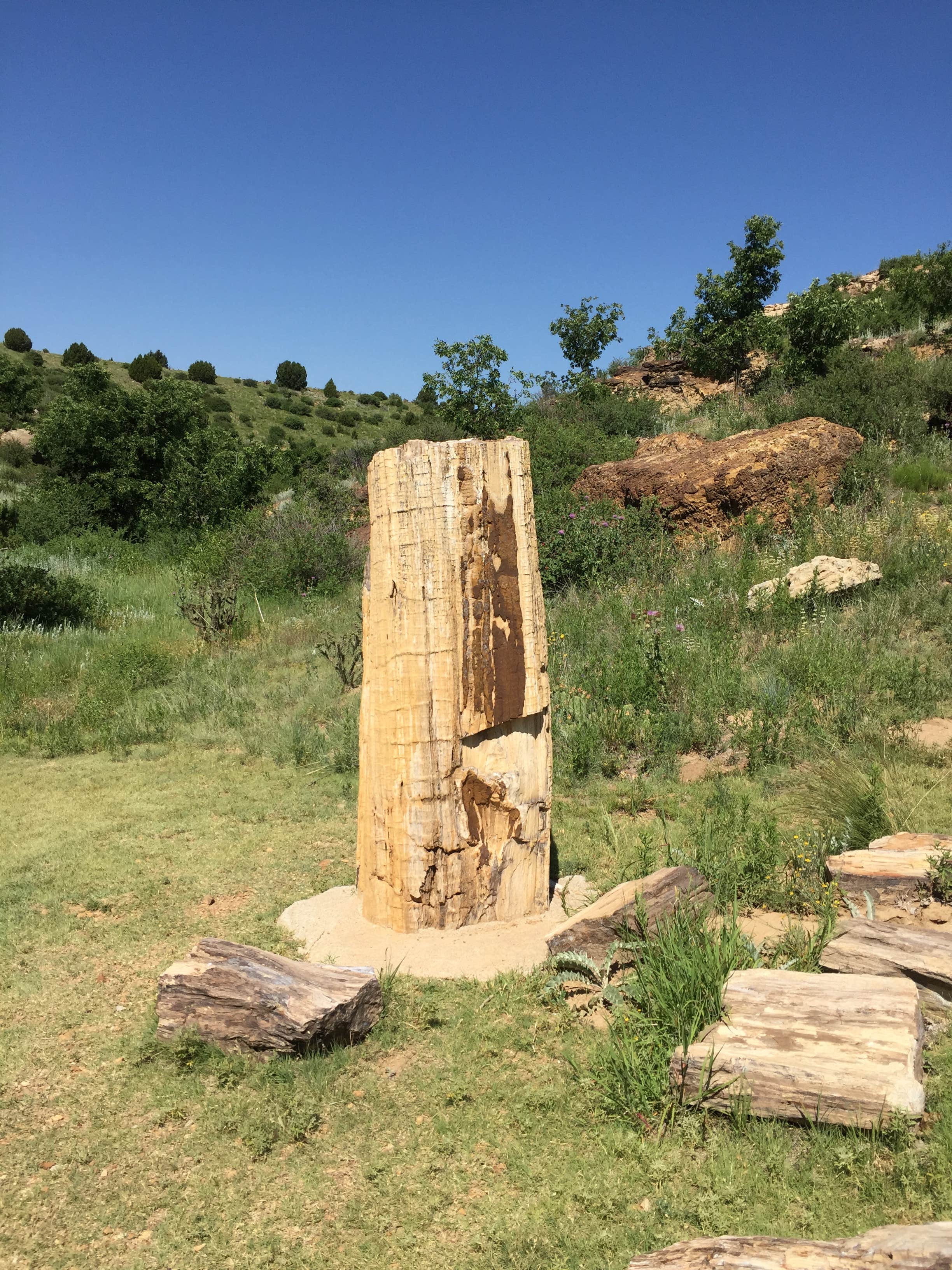 Camper-submitted photo at Black Mesa State Park Campground in Oklahoma