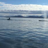 Review photo of Auk Village by Angie G., August 30, 2016