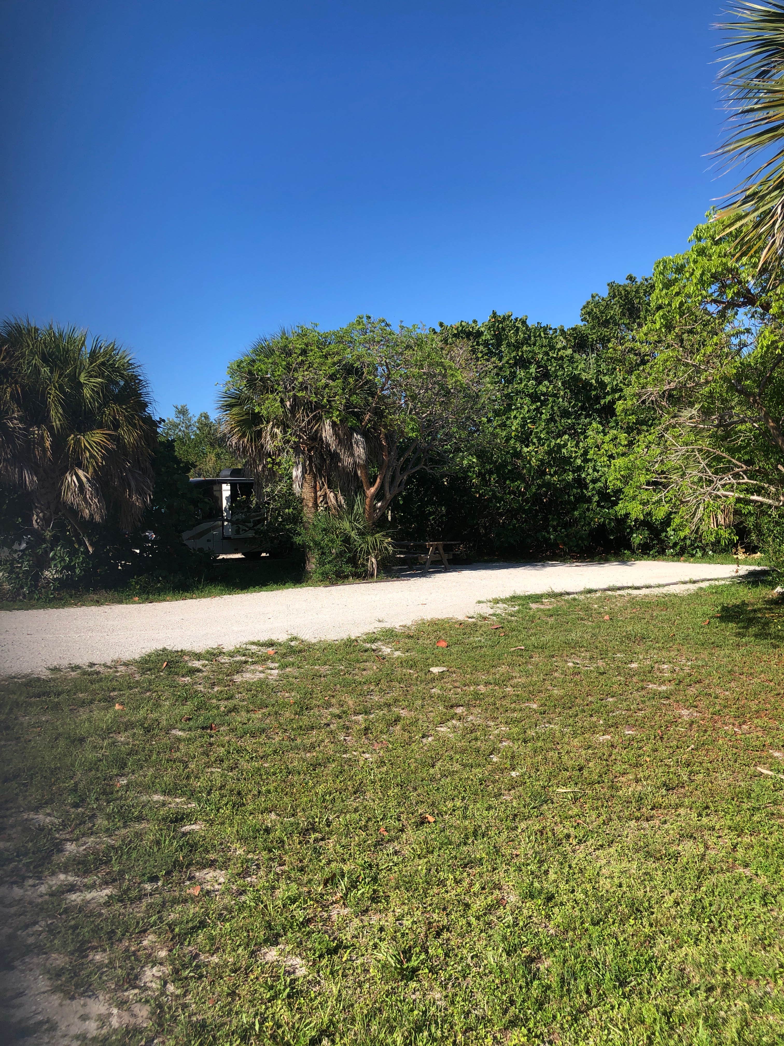 Camper submitted image from Sebastian Inlet State Park Campground - 2