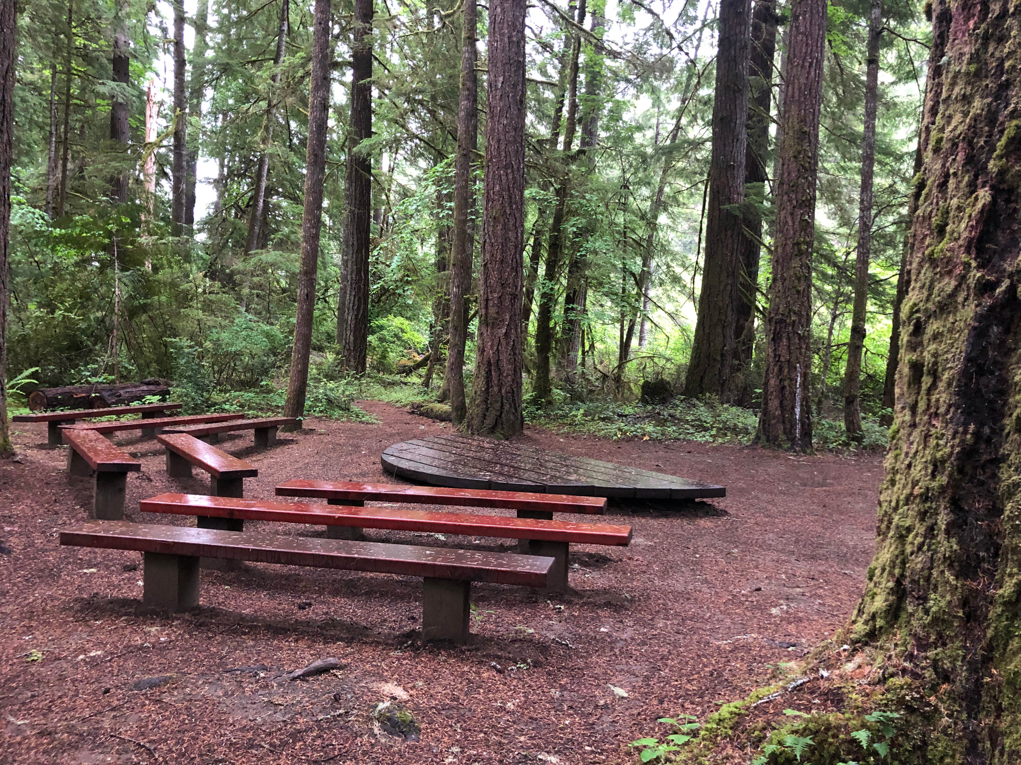 Camper submitted image from Susan Creek Campground - 4