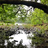 Review photo of Susan Creek Campground by Lee D., May 22, 2019