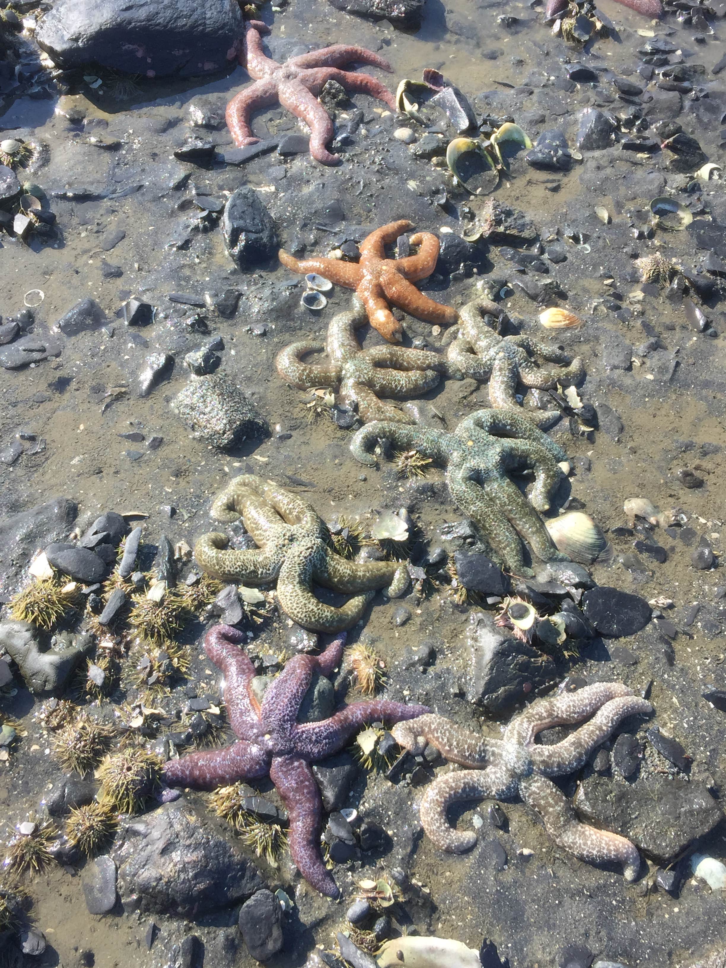 Camper-submitted photo at Auk Village near Tenakee Springs, AK