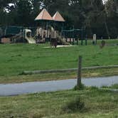 Review photo of Veteran's Memorial Park Campground by Jaws G., May 22, 2019