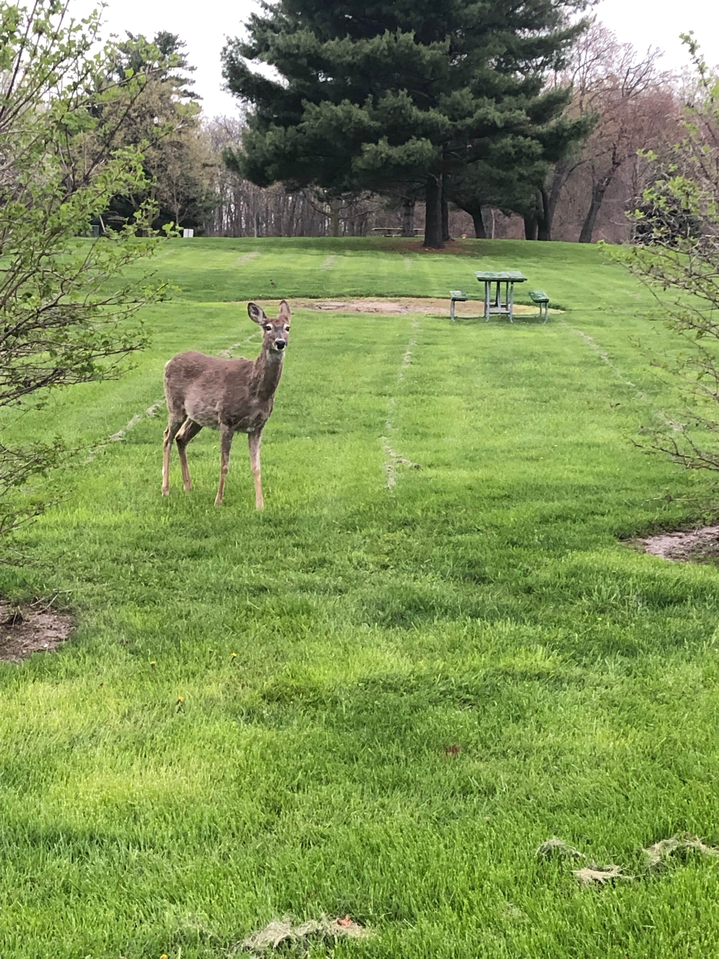 Camper-submitted photo at East Harbor State Park Campground in Ohio