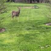 Review photo of East Harbor State Park Campground by Dawn S., May 22, 2019