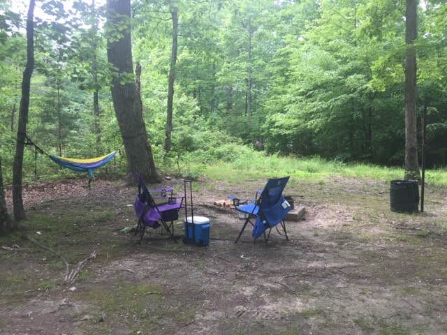Conni B.'s photo at Oak Ridge Campground — Prince William Forest Park near Nokesville, VA