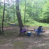 Review photo of Oak Ridge Campground — Prince William Forest Park by Conni B., May 22, 2019