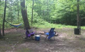 Conni B.'s photo at Oak Ridge Campground — Prince William Forest Park near Clifton, VA
