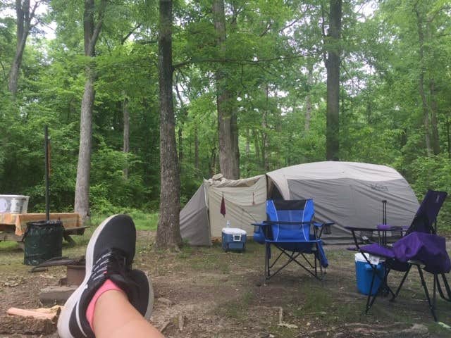 Prince William Forest Park/Oak Ridge Campground | The Dyrt