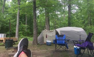 Conni B.'s photo at Oak Ridge Campground — Prince William Forest Park near Chantilly, VA