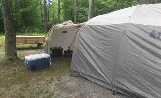 Conni B.'s photo at Oak Ridge Campground — Prince William Forest Park near Stafford, VA