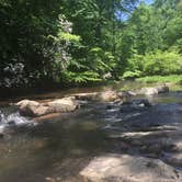 Review photo of Oak Ridge Campground — Prince William Forest Park by Conni B., May 22, 2019