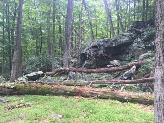 Camper-submitted photo at Manor - Cunningham Falls State Park near Rouzerville, PA