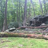 Review photo of Manor - Cunningham Falls State Park by Conni B., May 22, 2019