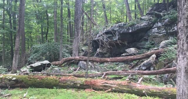 Manor - Cunningham Falls State Park