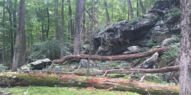 Camper submitted image from Manor - Cunningham Falls State Park