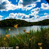 Review photo of Cuivre River State Park Campground by Lynn T., May 22, 2019