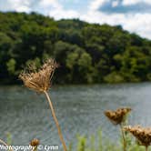 Review photo of Cuivre River State Park Campground by Lynn T., May 22, 2019