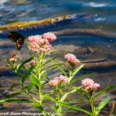 Review photo of Cuivre River State Park Campground by Lynn T., May 22, 2019