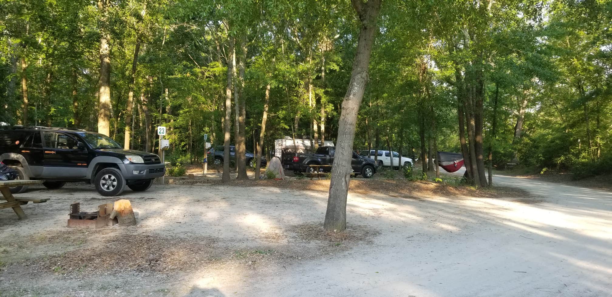 Camper submitted image from Neuseway Nature Park & Campground - 4