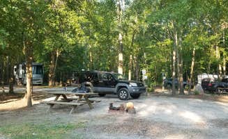 Taylor W.'s photo at Neuseway Nature Park & Campground near Washington, NC