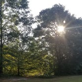 Review photo of Neuseway Nature Park & Campground by Taylor W., May 22, 2019