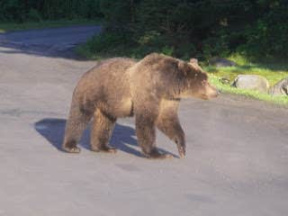 Camper-submitted photo at Buskin River State Rec Area near Port Lions, AK