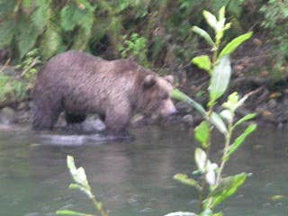 Camper-submitted photo at Buskin River State Rec Area near Port Lions, AK